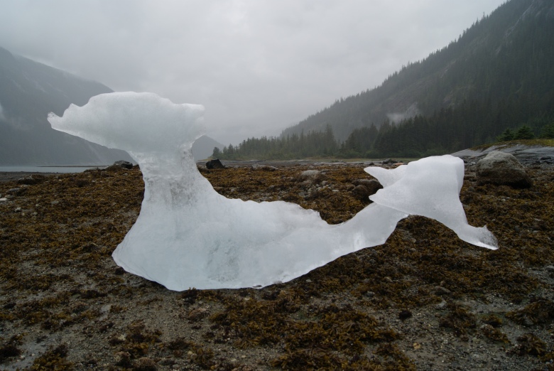 Stranded iceberg calved from Dawes Glacier, Alaska, 2014. Photograph credit Chris Caseldine.