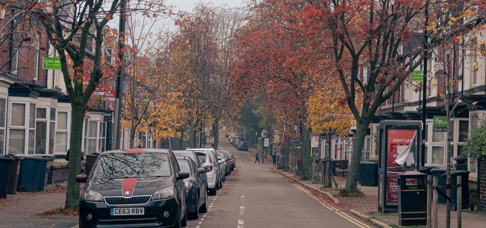 Parked cars on a residential street lined with trees in Autumn.